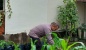 Program Ketahanan Pangan, Polsek Sekupang Sulap Lahan Kosong Jadi Produktif